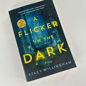 A Flicker in the Dark by Stacy Willingham book